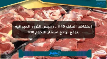 انخفاض العلف 40%.. رئيس الثروة الحيوانية يتوقع تراجع أسعار اللحوم 10%